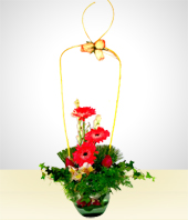 Flores - Innovacin