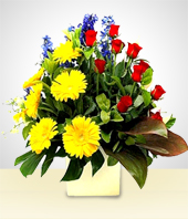 Flores - Deslumbrante