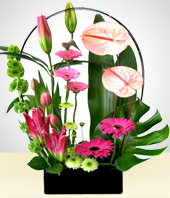 Flores - Jardn Rosado