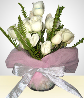 Rosas Blancas - Esplendor de Rosas