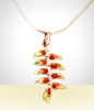 Revolution of Heliconia rostrata