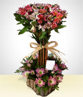 Flores - Arreglo de Astromelias