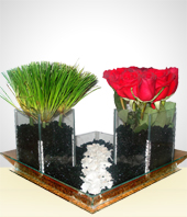 Flores - Diamante