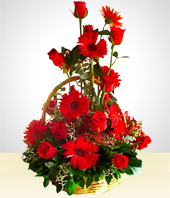 Flores - Detalle Rojo