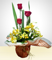 Flores - Mimo de Amor