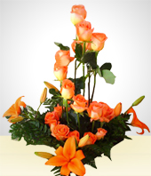 Flores - Sueo Envolvente