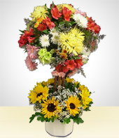 Flores - Impulso