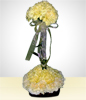Pure Carnations