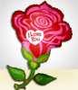 Globo  Rosa
