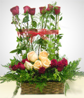 Rosas Multicolores - Combinacin de Rosas