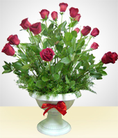 Red Roses - Love Gift