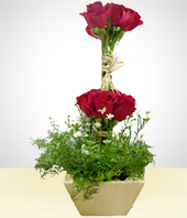 Flores - Amor Platnico