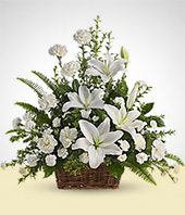 Condolences - Precius Moments  Condolence  Bouquet