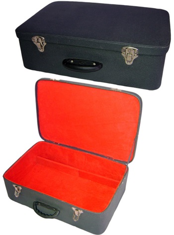 Estuche tipo maletín para vientos