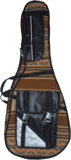 Guitar Awayo and Canvas Softcase