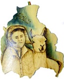 ȡ