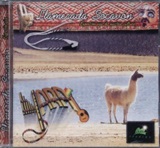 ヤラ「Llamerada Socavon」