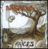 ƥץ顼ΡRaices