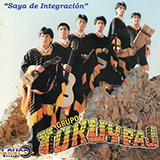 Tukuyapaj - Saya de Integracion