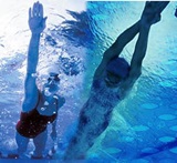 Swimming - Adults