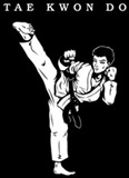 Tae kwon do Lessons