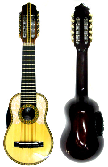 Elektroakustisches Profi - Charango
