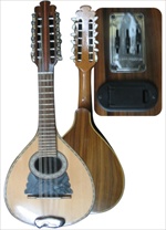 Elektroakustische Profi - Mandoline aus Nussbaumholz