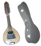 Mandoline Professionnelle + Etui rigide