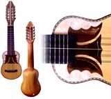 Charango Professionnel - Bois de Naranjillo