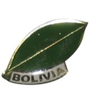 Pin Hoja de Coca
