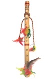 ū