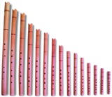 15 Quenas Set