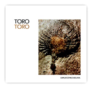 Toro Toro