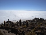 Uyuni/Uyuni 1 Día (Servicio Privado)