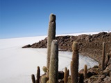 4 Días / 3 Noches - Uyuni/Uyuni