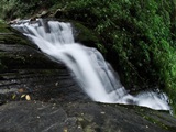 Parque Nacional Cotapata y Coroico FULL DAY