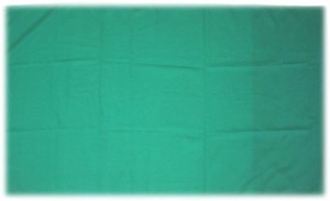 BANDERA DEL DEPARTAMENTO DEL BENI