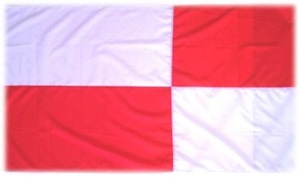 BANDERA DEL DEPARTAMENTO DE POTOSI