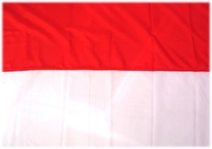 Bandera de Tarija