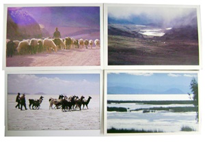 4 postcard set - andean motifs