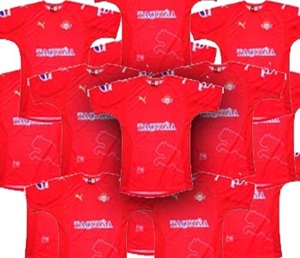 12 WILSTERMANN Jerseys for a Soccer Team