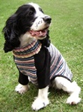 Sweater  puppy chic  para mascota - 100% alpaca