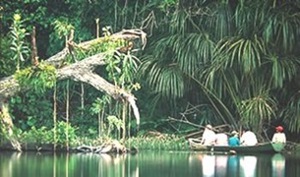 Parque Nacional Madidi - Selva 4 Días / 3 Noches ( 2 personas)