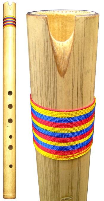 Professional Quenacho - Ñanda Mañachi