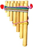 ݡ˥ ֥ 26-7