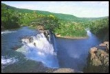 絵はがき/アマゾンの風景