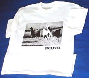 Tシャツ