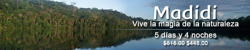 Madidi