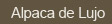 Alpaca de Lujo